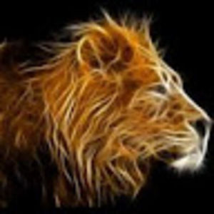 Meet your Posher, Carl-andré